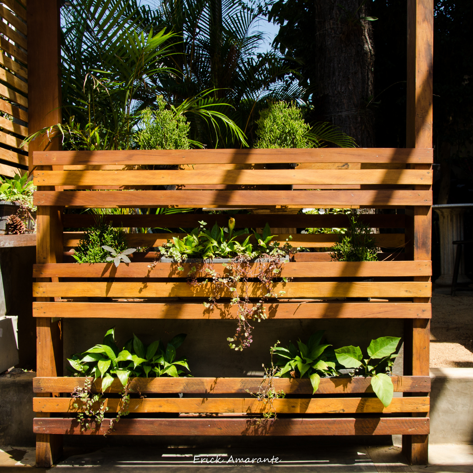 Jardim vertical com plantas